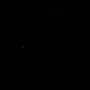 Meet your Posher, Leon